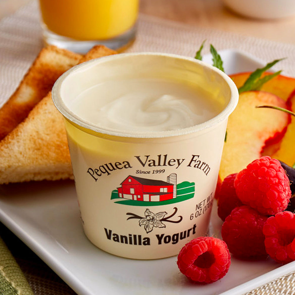 Vanilla Yogurt, 6 oz, 6 count