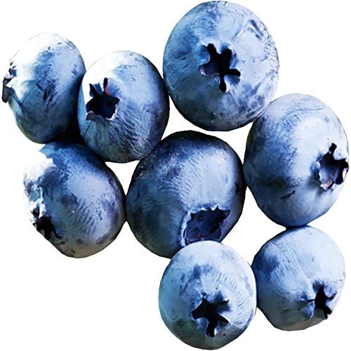 Blueberries, 1 Pint
