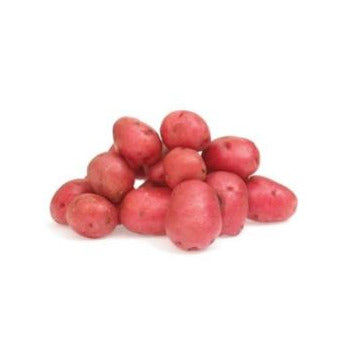 Red Potato, 5 lb