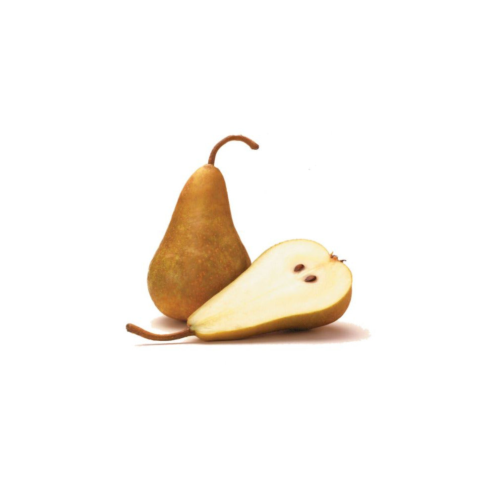 Bosc Pear, 1 count