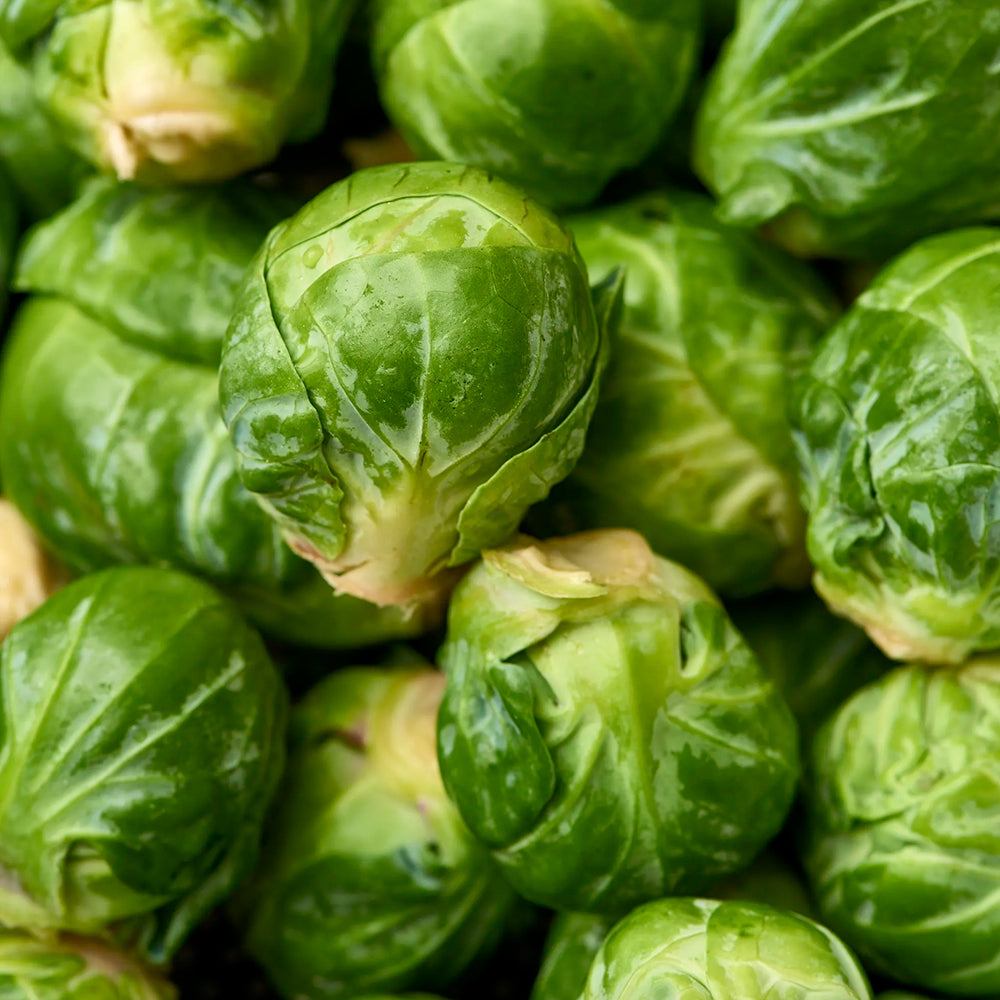 Brussels Sprouts, 5 lb bag