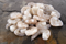 Raw Peeled & Deveined Tail-off Shrimp 21/25, 2 / 2 lb bags