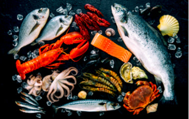 Seafood Catch Box - 5lb